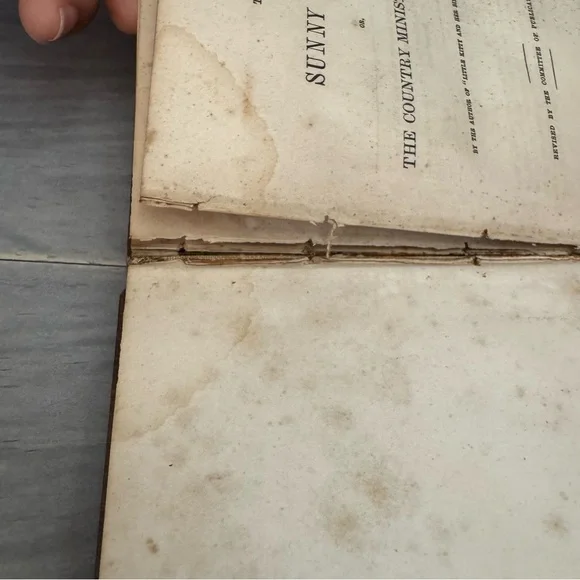 Antique THE SUNNY SIDE; or, the Country Minister's Wife 1851Hardback Book - Picture 11 of 17